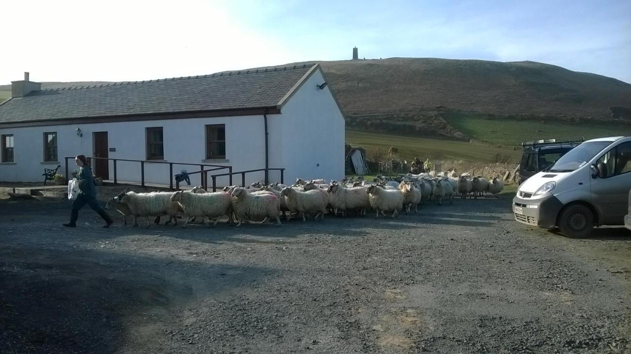 Bed and Breakfast Knockaloe Beg Farm Patrick Exterior foto